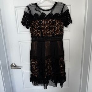 Aqua Lace Scoop Neck Dress -Black
